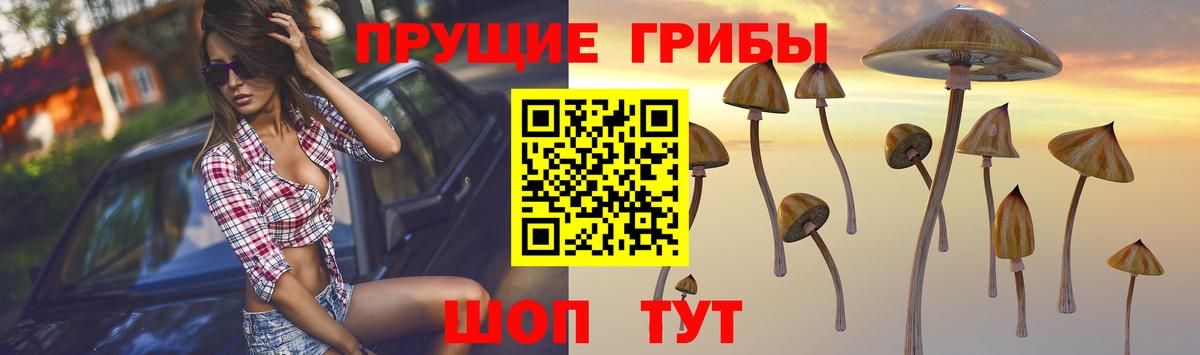 Чита  Галлюциногенные грибы ЛСД  Вход с VPN 